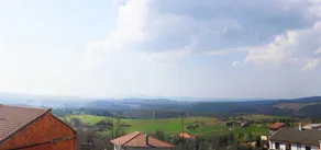 La Primavera - Image 5