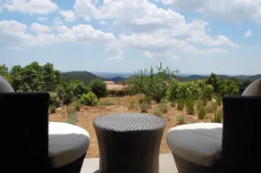 Vinha do Gaio - Image 5