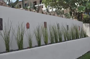 Visit Natural Detox Resort - Image 3