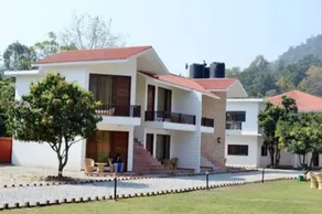 Tiger Kingdom - Image 3