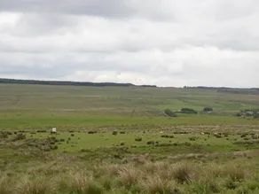 Luxury Refurbished Gamekeeper's Cottage, 15 Acres of Woodland by Hadrian's Wall - Image 3