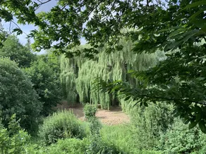 Wensum Glamping - Image 4