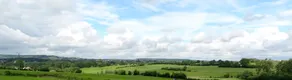 Pan-Hays - Image 3