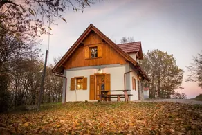 Vineyard Cottage Vina in Medu - Image 5