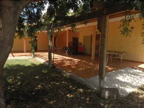Su Concali - Image 2
