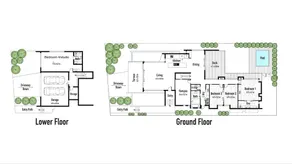 Melaleuca - Image 2