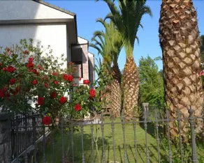 Apartamento Las Palmeras - Image 5