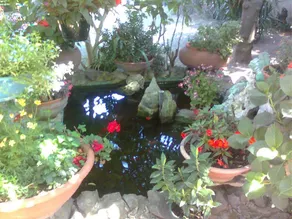 La Fusarella Villa Santoro - Image 2