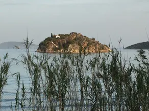 Elenas - Image 3