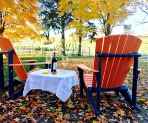 Harvest Bed & Breakfast - Image 4