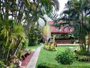 Falang Paradise - Image 3
