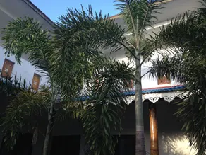Friends Guesthouse Negombo - Image 5