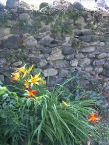 Le Jardin Secret - Image 3
