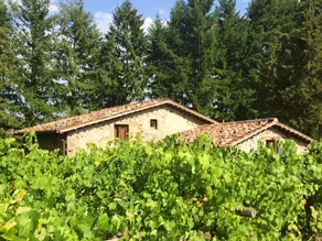 Villa With 3 Bedrooms in Barga, With Wonderful Mountain View, Private Pool, Furnished Garden - 57 km From the Beach - Image 3