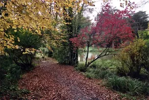 Lakeview Cottage - Image 3