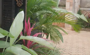 Ntinda View Apartments - Image 5