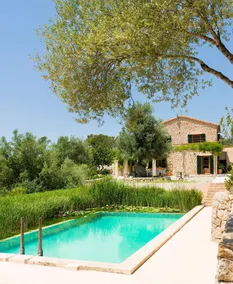 Finca Garrafa - Image 3