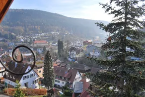 Haus der guten Freunde - Image 5