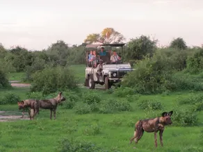 Imbabala Safari Lodge - Image 3