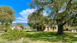 Spoleto Biofarm - Image 5