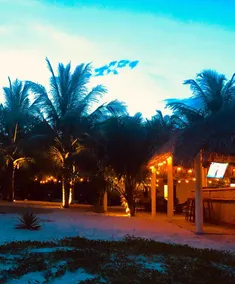 Ocean Beach Hostel - Image 2
