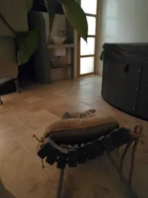 La Suite de Diane - Image 3