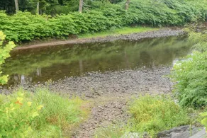 Tentrr - Fields of Dreams at Callicoon - Image 2