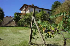 Polvereto - Image 5
