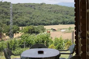 House With one Bedroom in Llinars del Vallès, With Wonderful Mountain - Image 5