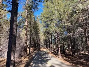 Heavenly Daze - 2br/1bahot Tub/gazebo/smart Tv/fenced Yard/deck/barbecue/fireplace 2 Bedroom Cabin - Image 2