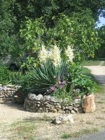 Camping Le Panoramic - Image 5