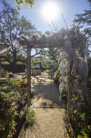 Pepper Tree Cottage - Image 5