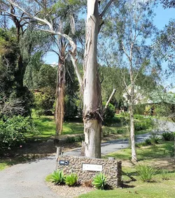 Stokers Lodge - Image 5