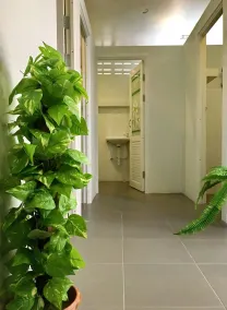 Tato House - Image 5