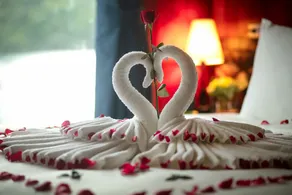 Flamingo Luxury Cruises - Image 2