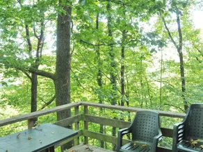 Nicely Furnished Bungalow with Fireplace near Maas - Image 4