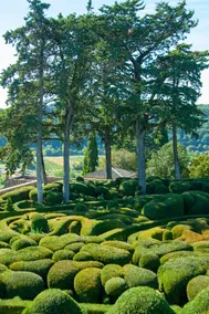 Les Charmes de Carlucet Gite-Beaux Reves - Image 5