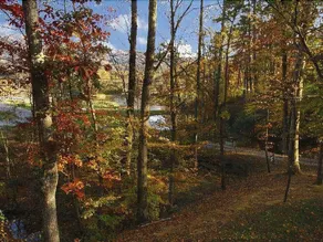 Tomahawk Lodge 3 Bedroom Cabin by RedAwning - Image 5