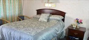 The Dolphin Inn - Image 2