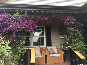 Serenity Ranch Bed and Breakfast - Image 3