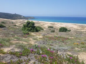 Hotel Villaggio Sabbie D'Oro - Image 5
