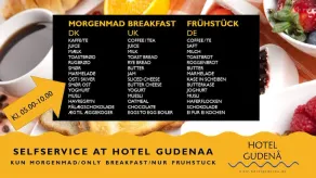 Hotel Gudenå - Image 5