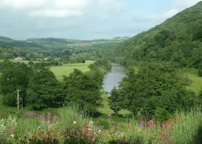 Ty Bryn Bed & Breakfast - Image 3