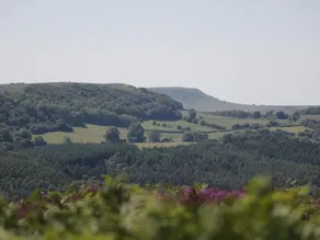 Langhill Holiday Cottages - Image 3