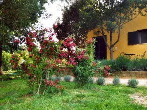 Rosaspina - Image 4