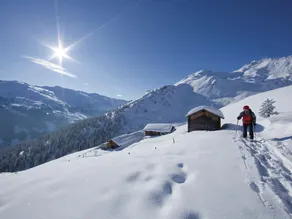 Luxurious Apartment in Hart im Zillertal With Mountain View - Image 5