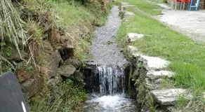 El Rincón De Pin - Image 5