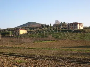 Il Girasole Bed & Breakfast - Image 5