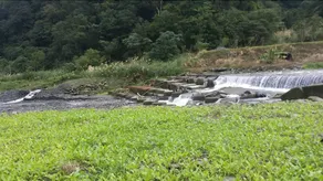 Nayi Vila - Image 2