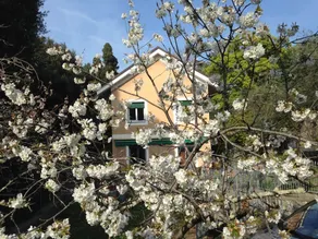 B&B La Rosa Segreta - Image 4